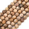 Natural Petrified Wood Beads Strands G-L642-F09-8mm-2