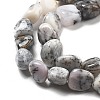 Natural White Opal Beads Strands G-C179-F02-01-4