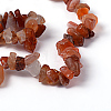 Natural Carnelian Chips Beads Strands F017-2