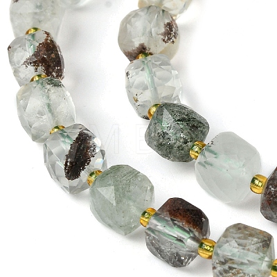 Natural Green Lodolite Quartz/Garden Quartz Beads Strands G-Q010-A18-01-1