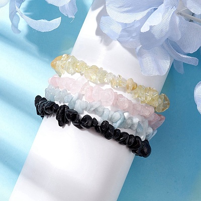 12 Constellation Natural Mixed Gemstone Chip Beaded Stretch Bracelets Sets for Women Men BJEW-JB10264-01-1