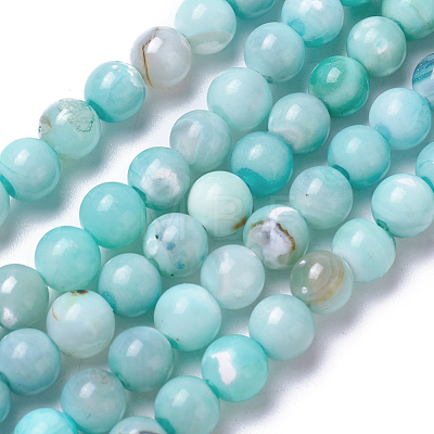 Natural Dyed Agate Imitation Turquoise Beads Strands G-P425-02A-10mm-1