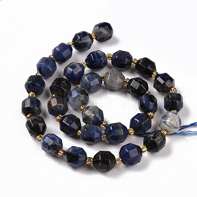 Natural Sodalite Beads Strands with Seed Beads G-G990-E01-1