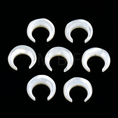 Natural White Shell Beads SSHEL-N034-122B-03-1