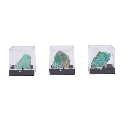 Nuggets Natural Amazonite DJEW-F011-03F-1