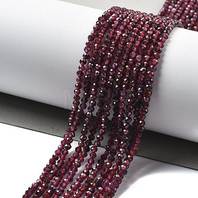 Natural Garnet Beads Strands G-H079-A01-02B-1