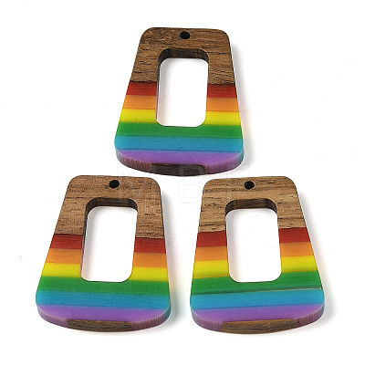 Pride Rainbow Theme Resin & Walnut Wood Pendants WOOD-K012-11B-1