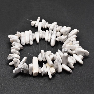 Natural Howlite Chip Beads Strands G-E271-53-1