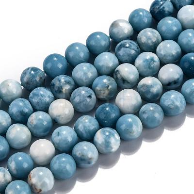 Natural Gemstone Beads Strands G-L367-01-10mm-1