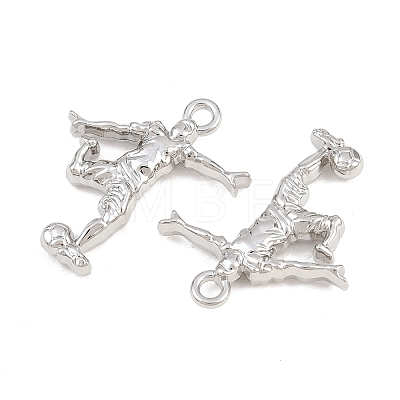 Alloy Pendants PALLOY-T096-07P-1