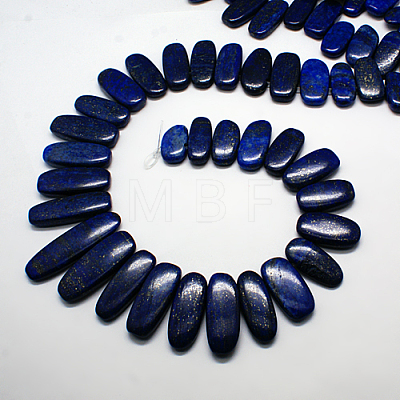Natural Gemstone Pendants Lapis Lazuli Graduated Beads Strands G-F129-A-02-1