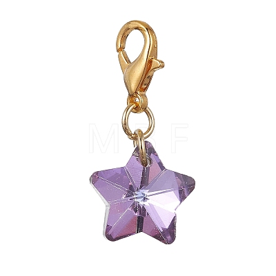 Electroplate Glass Star Pendant Decoration HJEW-JM01583-01-1