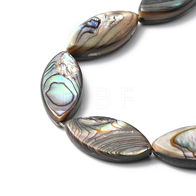 Natural Paua Shell Beads Strands SHEL-F006-05-1
