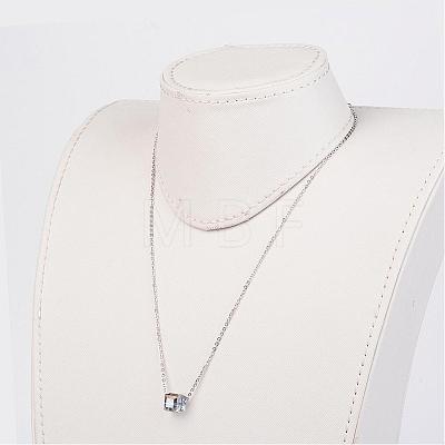 316 Surgical Stainless Steel Pendant Necklaces NJEW-JN01601-1