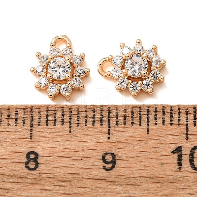 Brass Micro Pave Clear Cubic Zirconia Charms CU-CBAEC99-24G-1