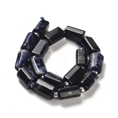 Natural Sodalite Beads Strands G-N327-06-28-1