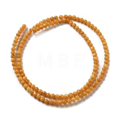 Natural Freshwater Shell Beads Strands SHEL-H003-03E-1