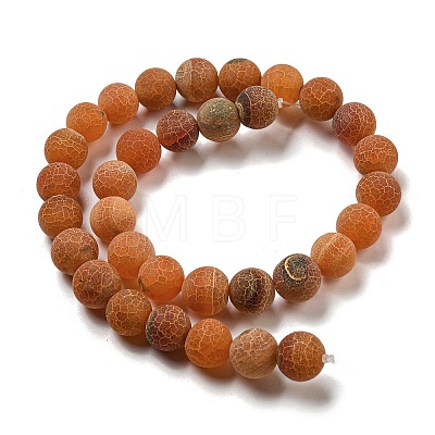 Natural Weathered Agate Beads Strands G-P538-A01-10-1