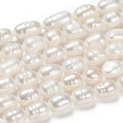 Natural Cultured Freshwater Pearl Beads Strands X-PEAR-S012-41-1