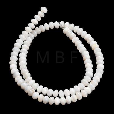 Natural Freshwater Shell Beads Strands SHEL-C010-04A-02-1