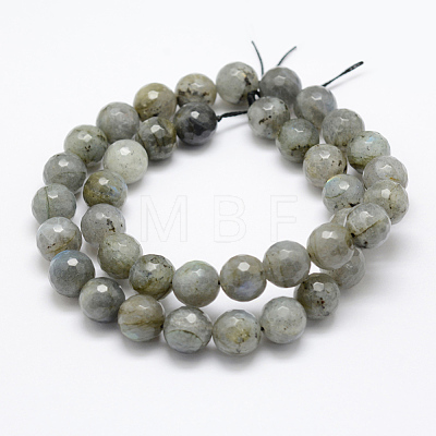 Natural Labradorite Beads Strands G-P322-28-10mm-1