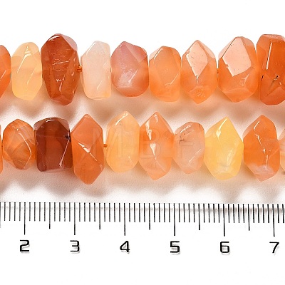 Natural Orange Botswana Agate Beads Strands G-N327-05-19-1