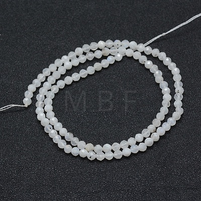 Natural Rainbow Moonstone Beads Strands LS-G-E411-08-4mm-1