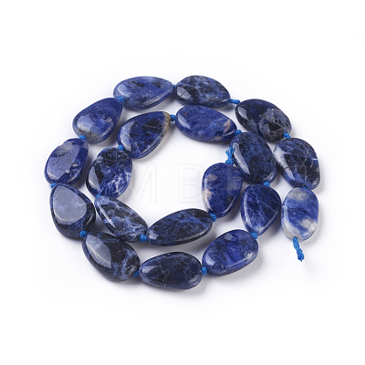 Natural Sodalite Beads Strands G-F645-10-1