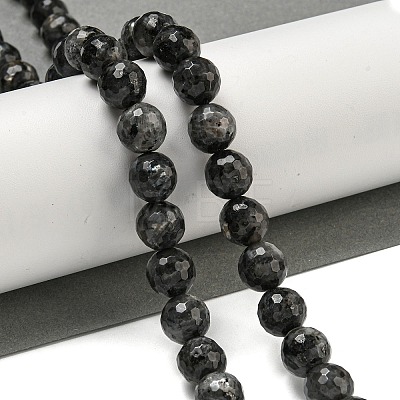 Natural Larvikite Beads Strands G-E571-A09-03-1