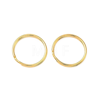 Iron Split Rings FIND-C084-03B-G-1