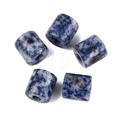 Natural Blue Spot Jasper European Beads G-P520-05J-1