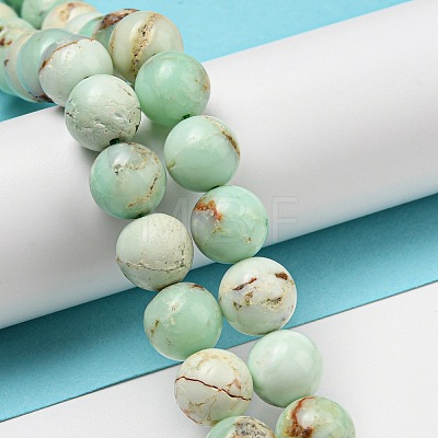 Natural Green Opal Beads Strands G-R494-A08-04-1