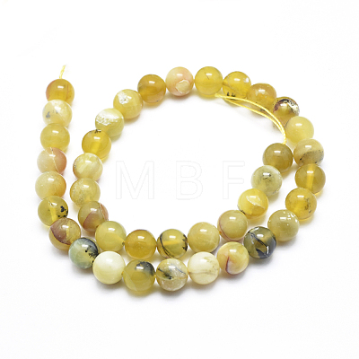 Natural Yellow Opal Round Bead Strands G-M296-02-10mm-1