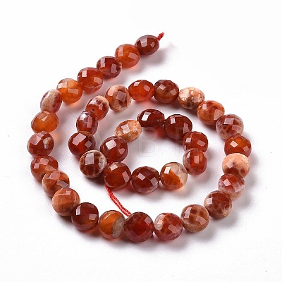 Natural Dyed Fire Crackle Agate Beads Strands G-C023-08B-1