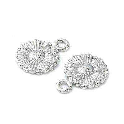 304 Stainless Steel Charms STAS-L269-056P-1
