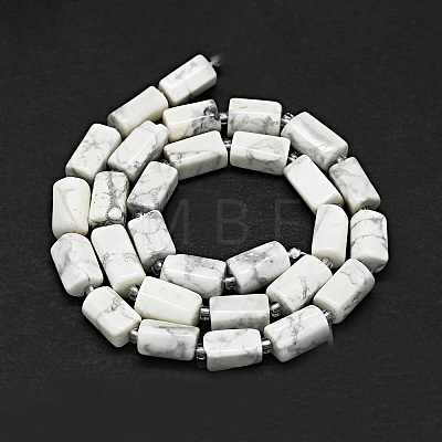 Natural Howlite Beads Strands G-O170-150-1