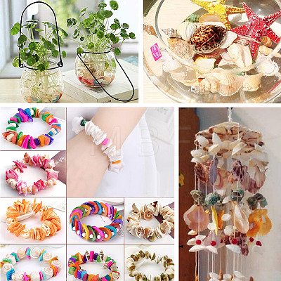 Natural Sea Shell Beads Kits SSHEL-PH0002-51-1