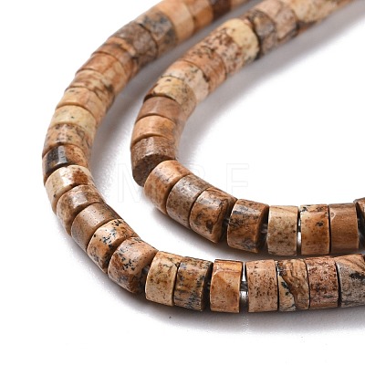 Natural Picture Jasper Beads Strands G-P468-03-1