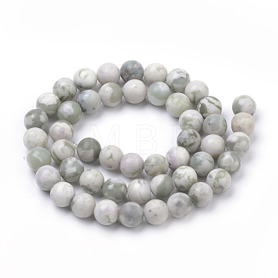 Natural Peace Jade Beads Strands G-S259-25-6mm-1