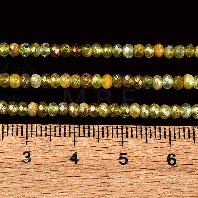 Faceted Rondelle Natural Green Garnet Beads Strands G-F289-40B-1