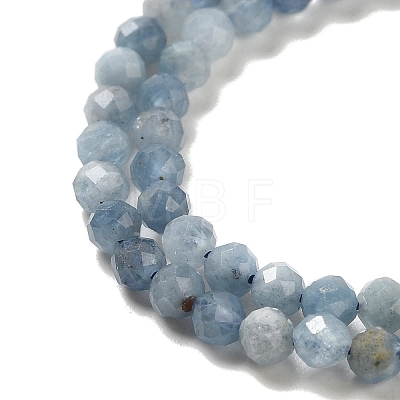 Natural Aquamarine Beads Strands G-B074-B06-01-1