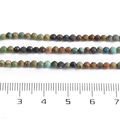 Natural Turquoise Beads Strands G-K366-B03-01-1