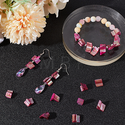 4 Strands Dyed Natural Freshwater Shell Beads Strands SHEL-BBC0001-14C-1