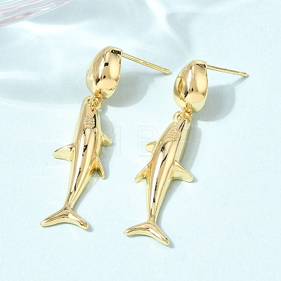 Brass Dangle Earrings EJEW-D352-06G-01-1