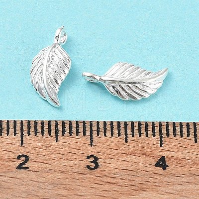 925 Sterling Silver Charms STER-E069-01S-1