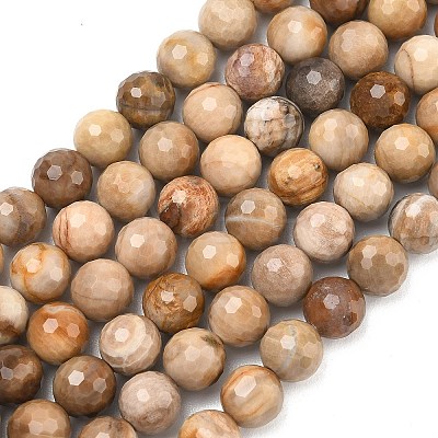 Natural Petrified Wood Beads Strands G-L642-F09-8mm-1