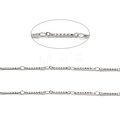 304 Stainless Steel Rectangle Link Chains CHS-G025-12P-1
