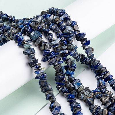 Natural Lapis Lazuli Beads Strands G-F703-05B-1
