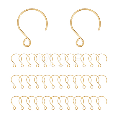 Ion Plating(IP) 304 Stainless Steel Earring Hooks STAS-UN0058-96G-1