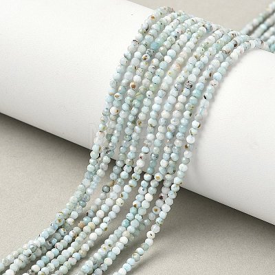 Natural Larimar Beads Strands G-L627-A01-2mm-1